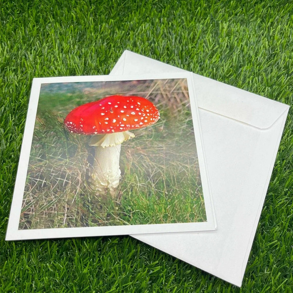 Unique Deluxe Mushroom Stationery Set in Keepsake Gift Box, New, Limited π π - Picture 9 of 16